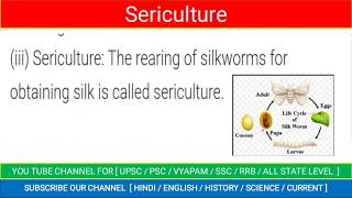 what is sericulture  sericulture  define sericulture what is the process of sericulture [upl. by Einaffyt]