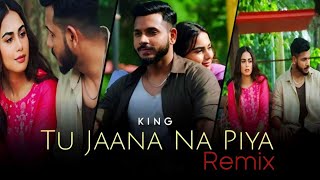 Tu Jaana Na Piya  KING  Remix  Hitz Beatz  Trending Love Song  New Life  Natania L  PaperMan [upl. by Leirbma474]