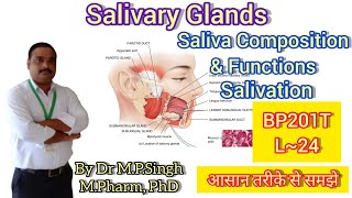 Salivary Glands  Saliva Composition  Salivation  Human Anatomy amp PhysiologyII  BP201T  L24 [upl. by Jo]