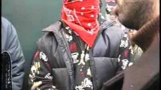 Bloods and Crips Unite in New York City [upl. by Lehcear997]