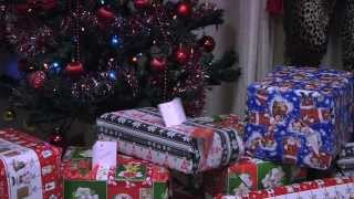 Stress da regalo  Parodia Natale 2013 [upl. by Aynek]