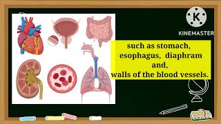 Q2CHAPTER 1MAJOR ORGANS OF HUMAN BODYLesson 14 BONES AND MUSCLESSCIENCE 4 [upl. by Nimrak]