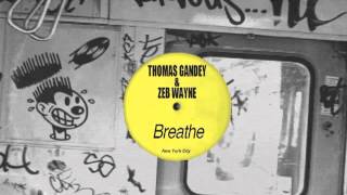 Thomas Gandey amp Zeb Wayne  Breathe [upl. by Donoho642]