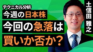 【テクニカル分析】今週の日本株 今回の急落は買いか否か？＜チャートで振り返る先週の株式市場と今週の見通し＞ （土信田 雅之） [upl. by Nosnej735]