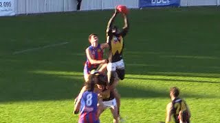 VFL Round 3 2015  Majak Daws big grab [upl. by Adar]