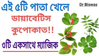 এই ৫টি পাতা খেলেই ডায়াবেটিস নিয়ন্ত্রণে চলে আসবে  Eat 5 Leaves for Diabetes control । Dr Biswas [upl. by Neitsabes]