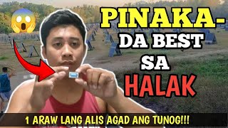 Paano Gamutin ang Halak ng Manok  Linyada ng Mamay [upl. by Richela]