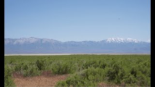 Exploring the Depauperate Salt Desert Scrub at Skull Valley [upl. by Beauregard716]