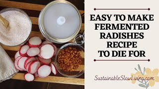 QUICK AND EASY Fermented Radishes Recipe Takes Just Minutes To Make [upl. by Roumell]