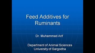 Feed Additives for Ruminants animalscience feedadditives animalnutrition poultrynutrition [upl. by Ayad]