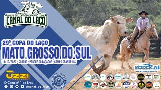 29° Copa do Laço de Mato Grosso do Sul  Parque do Laçador  Campo GrandeMS [upl. by Debo]