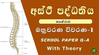 කොදුඇට පෙළ ගැන ප්‍රශ්නයක්  human vertebral column in sinhala අස්ථි පද්ධතිය 1  බහුවරණ විවරණය [upl. by Catto]