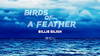 Billie Eilish  BIRDS OF A FEATHER 同類的人兒 lyrics 翻譯 中英歌詞 [upl. by Ydiarf919]