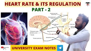 Heart Rate And Its Regulation Part 2  CVS Physiology [upl. by Snapp]