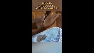 Cheap Chocolate isnt Cheap [upl. by Belda]