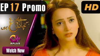 Drama  Is Chand Pe Dagh Nahin  EP 17 Promo  Aplus  Zarnish Khan Firdous Jamal  C2W1 [upl. by Norrej337]