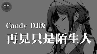 DJ版再見只是陌生人  DJ Candy「是否我愛了不該愛的人」動態歌詞版 [upl. by Stiles828]