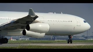 Hi Fly Air Greenland Airbus A340313X Takeoff at Copenhagen Airport [upl. by Egbert]