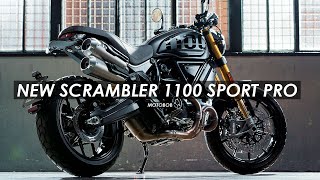 New 2020 Ducati Scrambler 1100 PRO amp Sport PRO Full Specs Released [upl. by Atilol]