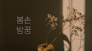 안예은 Ahn Ye Eun  봄손밤꿈 Spring Hand Night Dream  예쁜 빛을 잃어버린 꿈 추락하는 나의 하늘  손글씨  캘리그라피 [upl. by Zenas275]