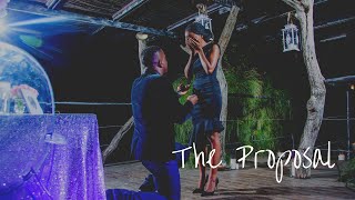 The Proposal Zim Proposal [upl. by Naida]