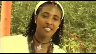 Ethiopian old Gonder music ethiopian old music [upl. by Hedgcock]