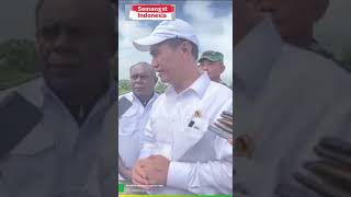 Pemerintah Buka Satu Juta Hektare Sawah di Merauke Papua Selatan untuk Ketahanan Pangan [upl. by Ahsyad]