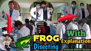 Disection of Frog  How to disect frog  Frog disection with explanation Frog disection tutorial [upl. by Anana43]