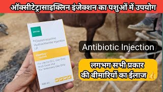 Oxytetracycline Injection ऑक्सीटेटरासाइक्लिन इंजेक्शन का पशु चिकित्सा में उपयोग  Veterinary uses [upl. by Oza]