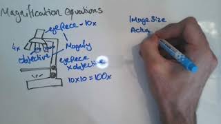 Magnification Equations GCSE [upl. by Prisilla]