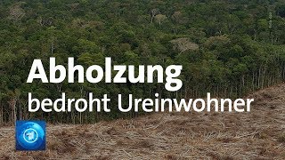 Brasilien Goldsuche zerstört Lebensraum der Ureinwohner im Regenwald [upl. by Cochard]