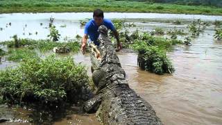 Crocodile Man Tour Rio Tarcoles Costa Rica [upl. by Lauretta338]