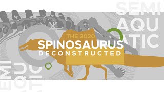 Spinosaurus The Controversy of the Aquatic Dinosaur [upl. by Notyal]