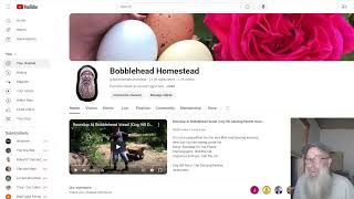 Bobblehead Homesteads OBS Studio Trial Live Stream [upl. by Dail]