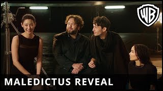 Fantastic Beasts The Crimes Of Grindelwald Spoiler Review amp Ending Explained [upl. by Ecienal]