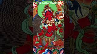 Love Mantra  Red Tara Mantra  Kurukulle Mantra  Om Tare Tam Soha  红度母咒语 [upl. by Fraase]