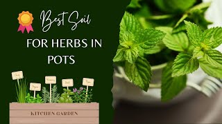 5 BEST SOILS FOR HERBS IN POTS 2022 Best Garden Soil  Plant Lover or Plant Life [upl. by Enelehs]