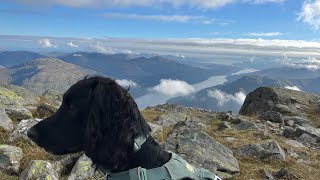 Ben Ime and Beinn Narnain Munros  Arrocher Alps  Scotland [upl. by Ralston]