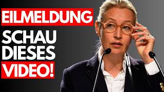 ALICE WEIDEL zerstört quotDie 100quot PROPAGANDA Show und will GEZ sofort ABSCHAFFEN [upl. by Annazus]