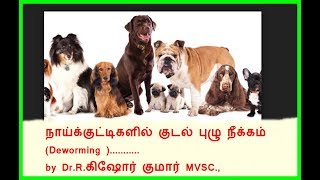 Deworming schedule for Puppies and Dogs  நாய்களில் குடற்புழு நீக்ககம் [upl. by Ycnay]