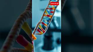 Mystery Of Human DNA  5 Facts About Human DNA [upl. by Ahab]