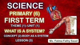 SciencePrimary 6first term unit 1Concept 2Lesson 3voluntary  Involuntary muscles [upl. by Carolee492]