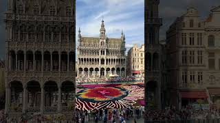 Flower Carpet 2024 Brussels Belgium 🇧🇪 [upl. by Uchida]