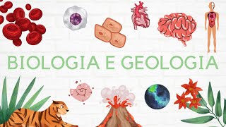 Biologia 11º Meiose e Fecundação [upl. by Revned889]