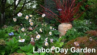 Labor Day Garden [upl. by Fairman]