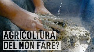 AGRICOLTURA NATURALE coltivare con il metodo Fukuoka [upl. by Collum]