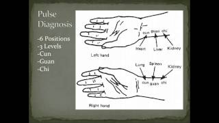 Pulse Diagnosis Overview  Diagnostic Methods in Chinese Medicine [upl. by Ahsaela]