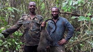 Histoire dune chasse  Cameroun [upl. by Sampson]