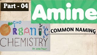 ORGANIC CHEMISTRY👨‍🔬 TopicquotAmines and types of aminesquot Common naming with examples part 4 [upl. by Nylirej343]