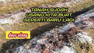 CARA PENGOLAHAN TANAH ‼️LAHAN JANDA MENJADI BARU DAN SUBUR KEMBALI [upl. by Lewison]